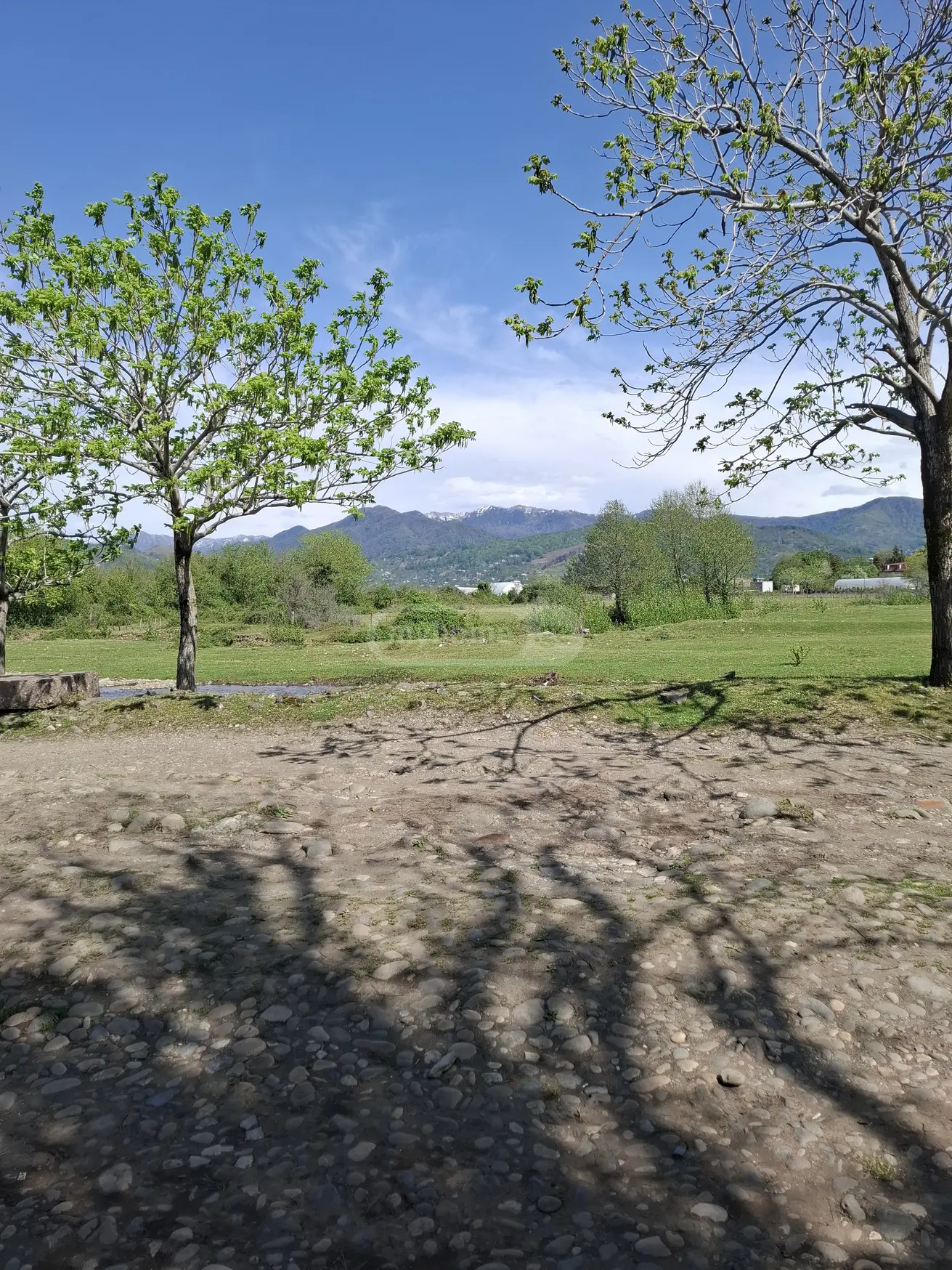 For Sale Sasoplo-Sameurneo Land Plot In Batumi view 2