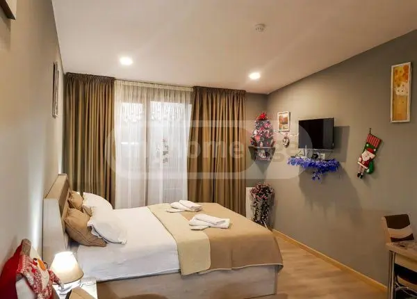 Daily Rent 1 Room Sastumro Bakurianshi, 3 of 12
