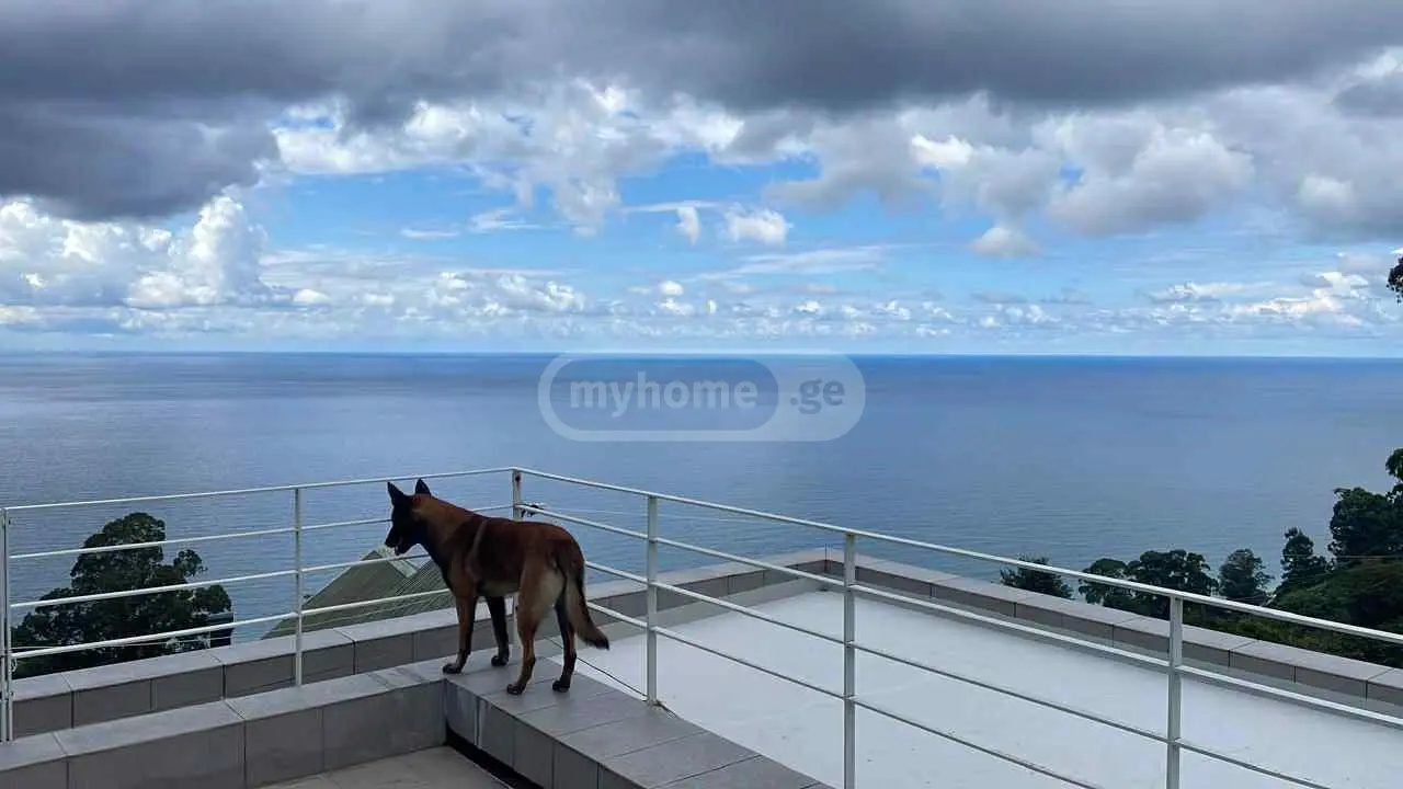 For Sale 8 Room Private House Khelvachauris Munitsipalitetshi view 6