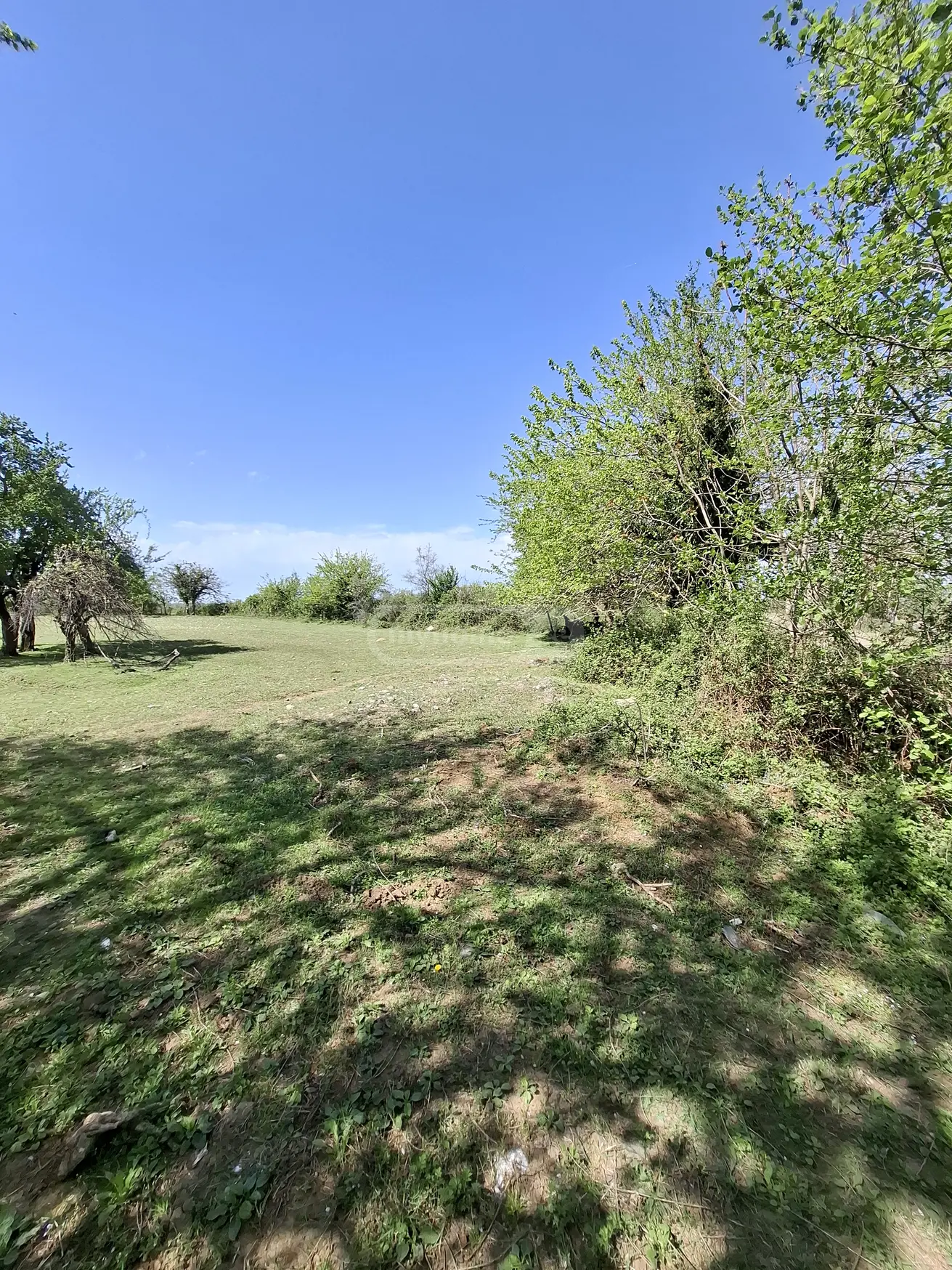 For Sale Sasoplo-Sameurneo Land Plot In Batumi view 5