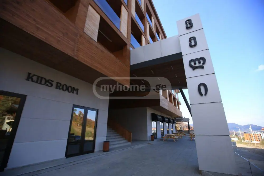 Daily Rent 1 Room Sastumro Bakurianshi, 10 of 12