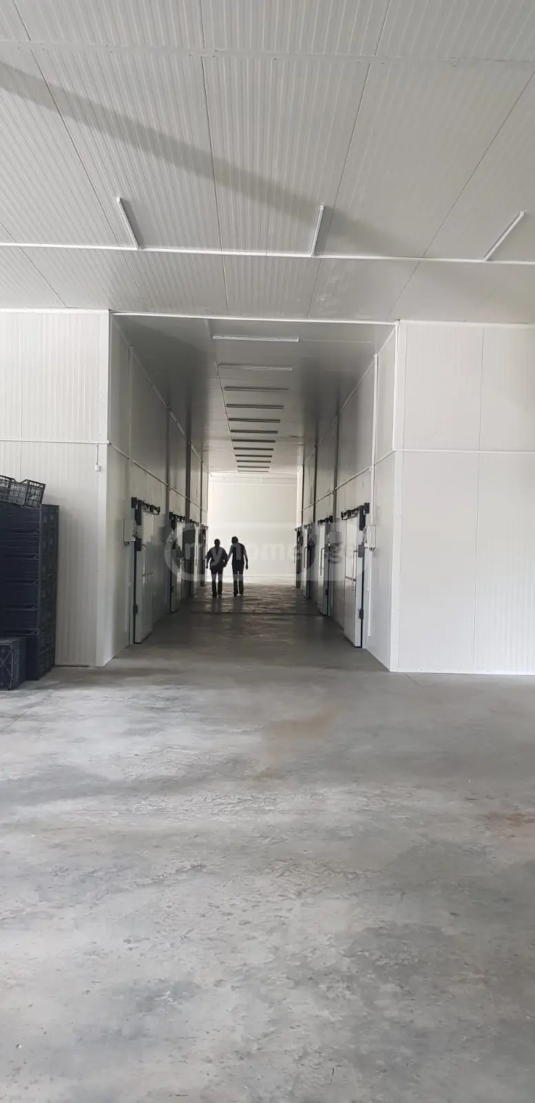 For Sale Satsarmoo Commercial Space Sagarejoshi view 7