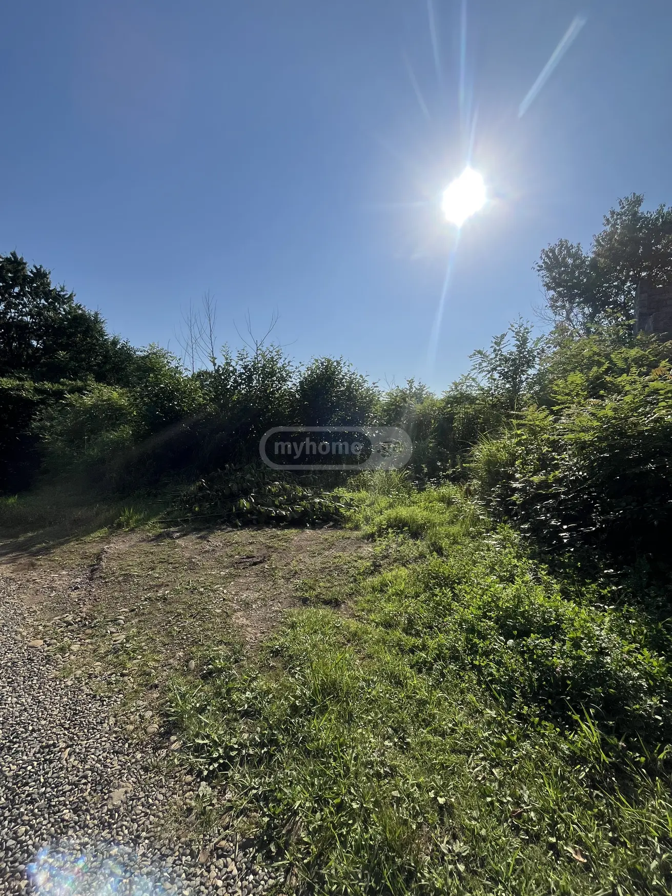 For Sale Sasoplo-Sameurneo Land Plot Kobuletis Munitsipalitetshi view 2