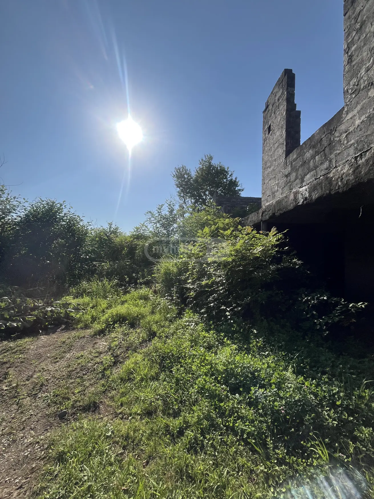 For Sale Sasoplo-Sameurneo Land Plot Kobuletis Munitsipalitetshi view 1