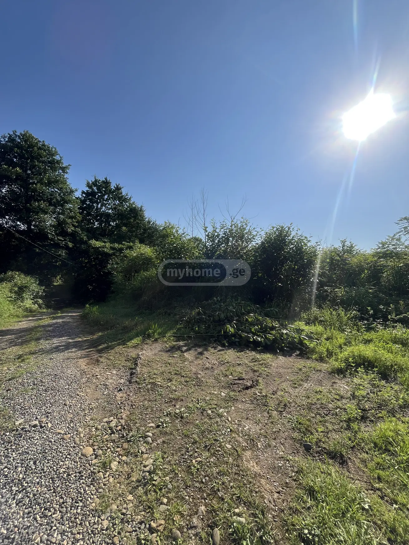 For Sale Sasoplo-Sameurneo Land Plot Kobuletis Munitsipalitetshi view 3