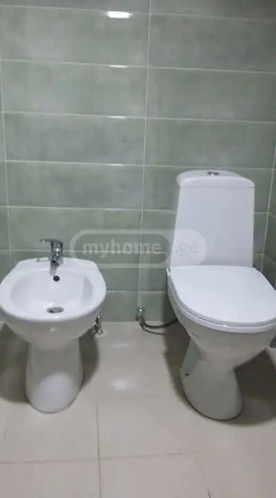 Daily Rent 3 Room Country House Borjomshi view 5