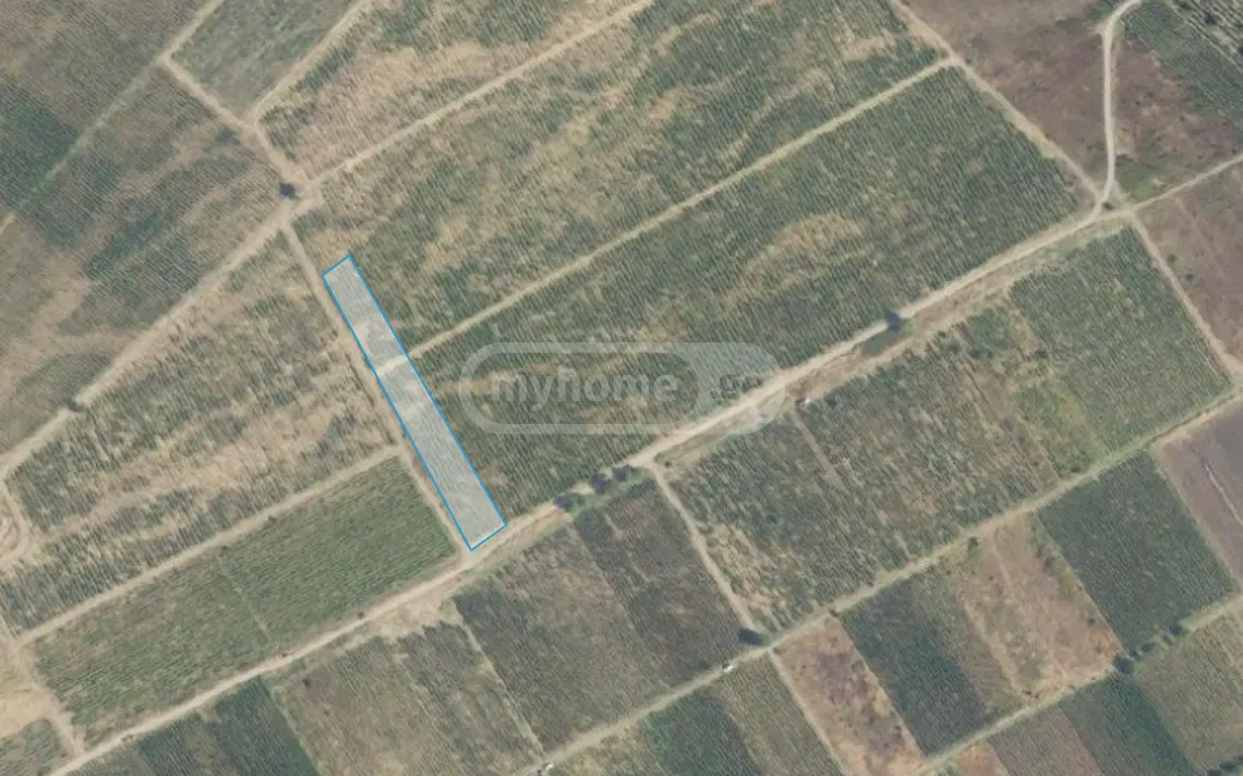 For Sale Sasoplo-Sameurneo Land Plot Gurjaanis Munitsipalitetshi view 1