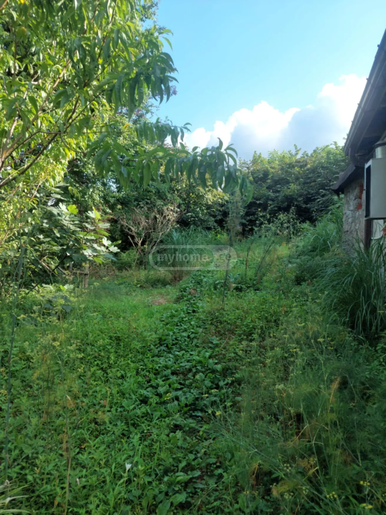 For Sale Sasoplo-Sameurneo Land Plot In Batumi view 7