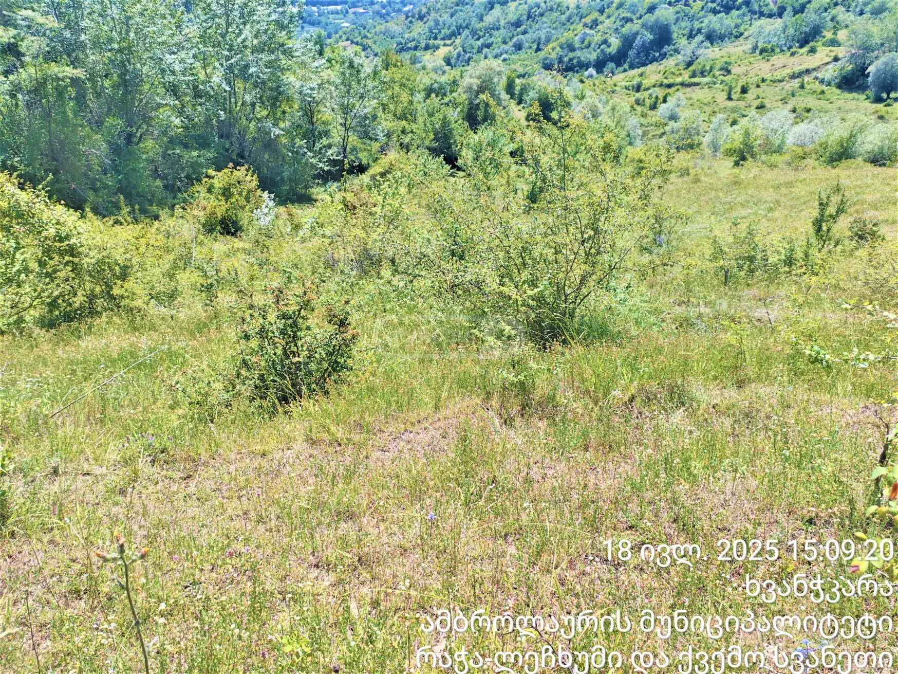Продажа Земля / участок в Ambrolaurshi view 6