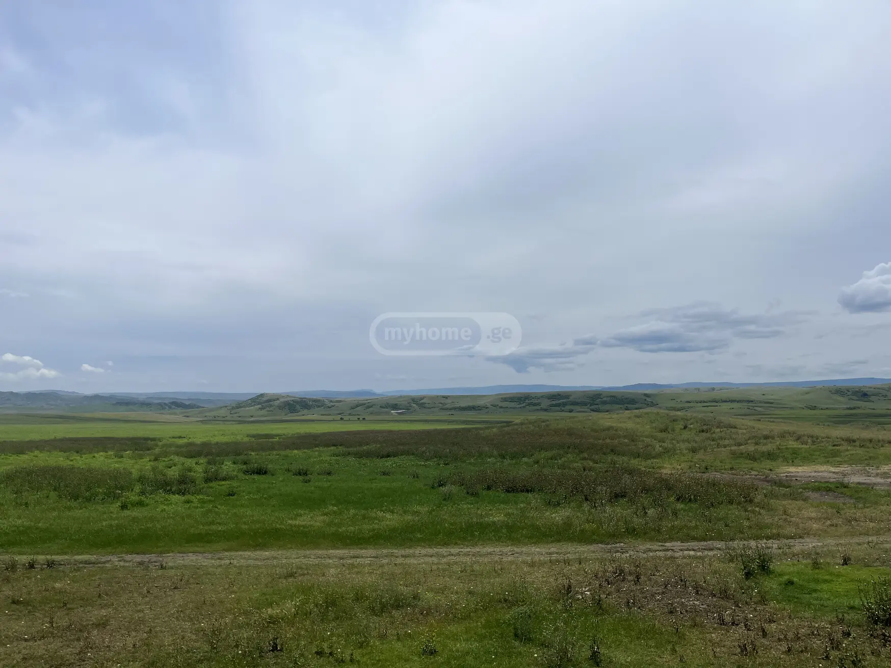 For Sale Sasoplo-Sameurneo Land Plot Sighnaghshi view 1