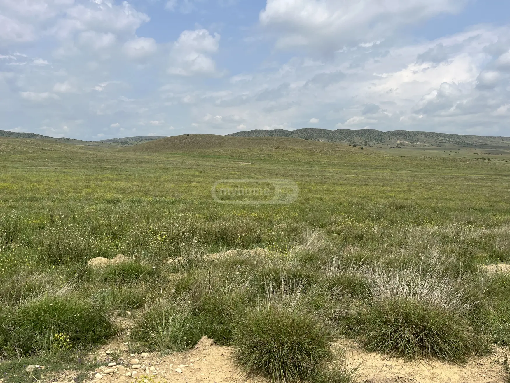 Продажа Земля / участок в Sighnaghshi view 2
