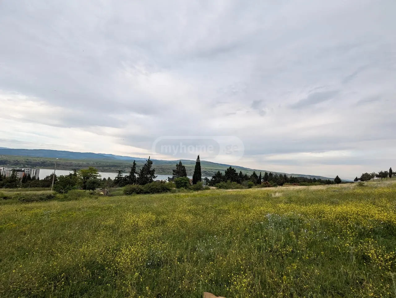 For Sale Sasoplo-Sameurneo Land Plot Tbilisis Zghvaze, 1 of 5