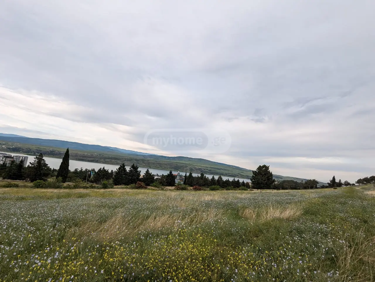 For Sale Sasoplo-Sameurneo Land Plot Tbilisis Zghvaze, 4 of 5