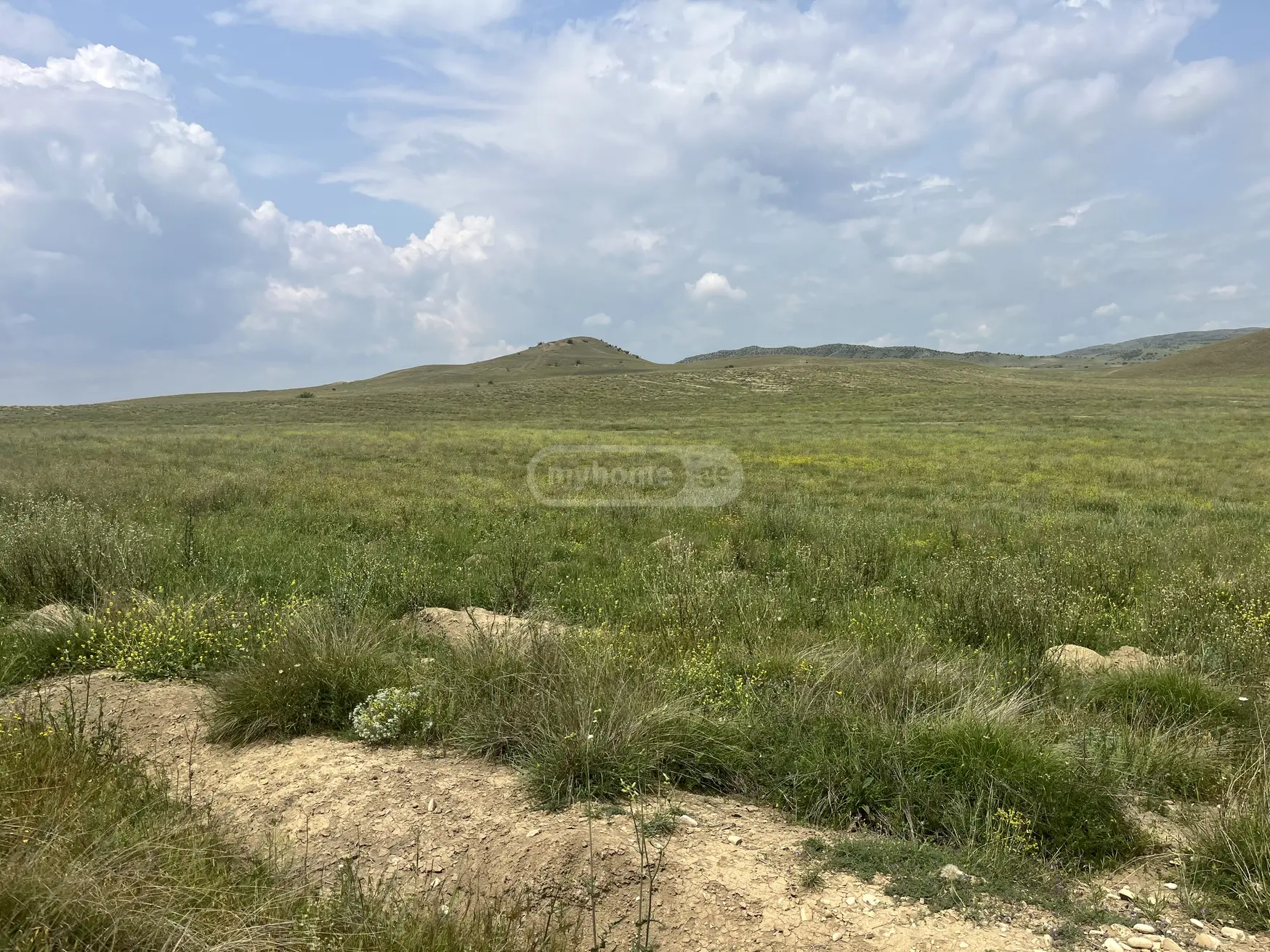 Продажа Земля / участок в Sighnaghshi view 1