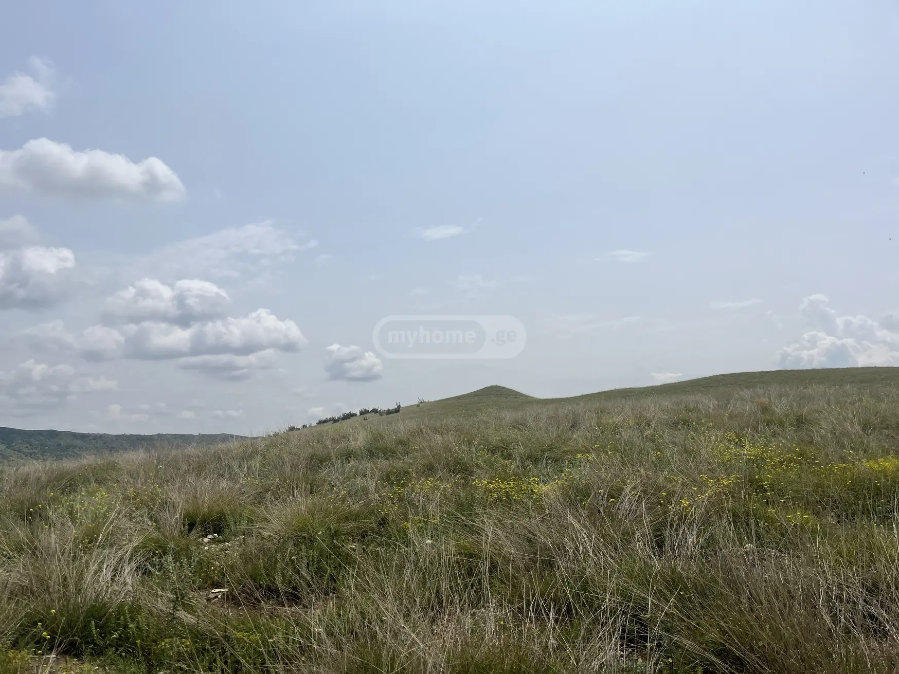 Продажа Земля / участок в Sighnaghshi view 4