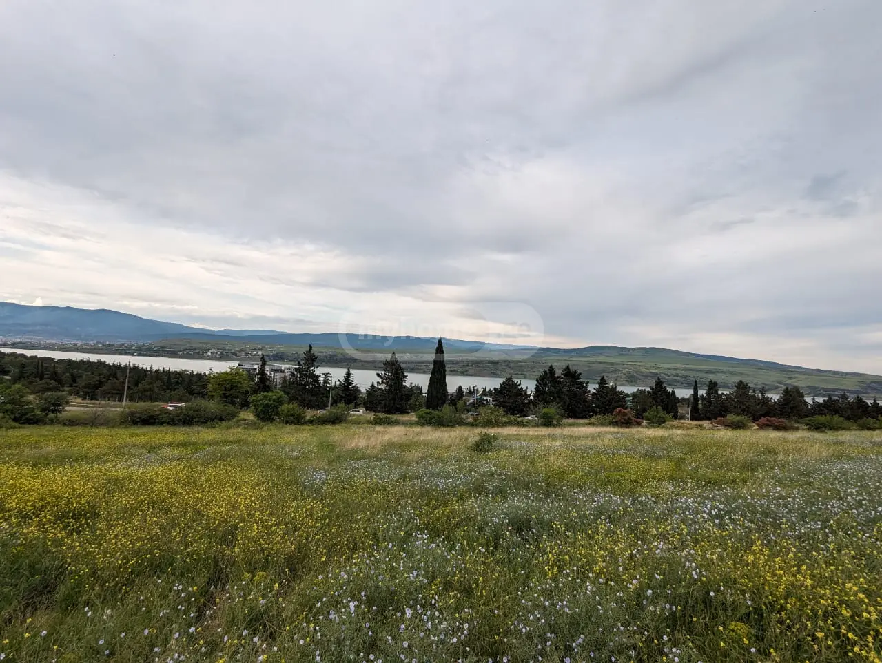 For Sale Sasoplo-Sameurneo Land Plot Tbilisis Zghvaze, 2 of 5