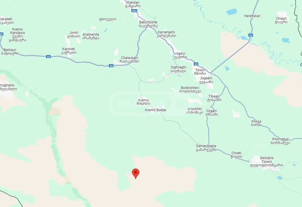For Sale Sasoplo-Sameurneo Land Plot Sighnaghshi view 6