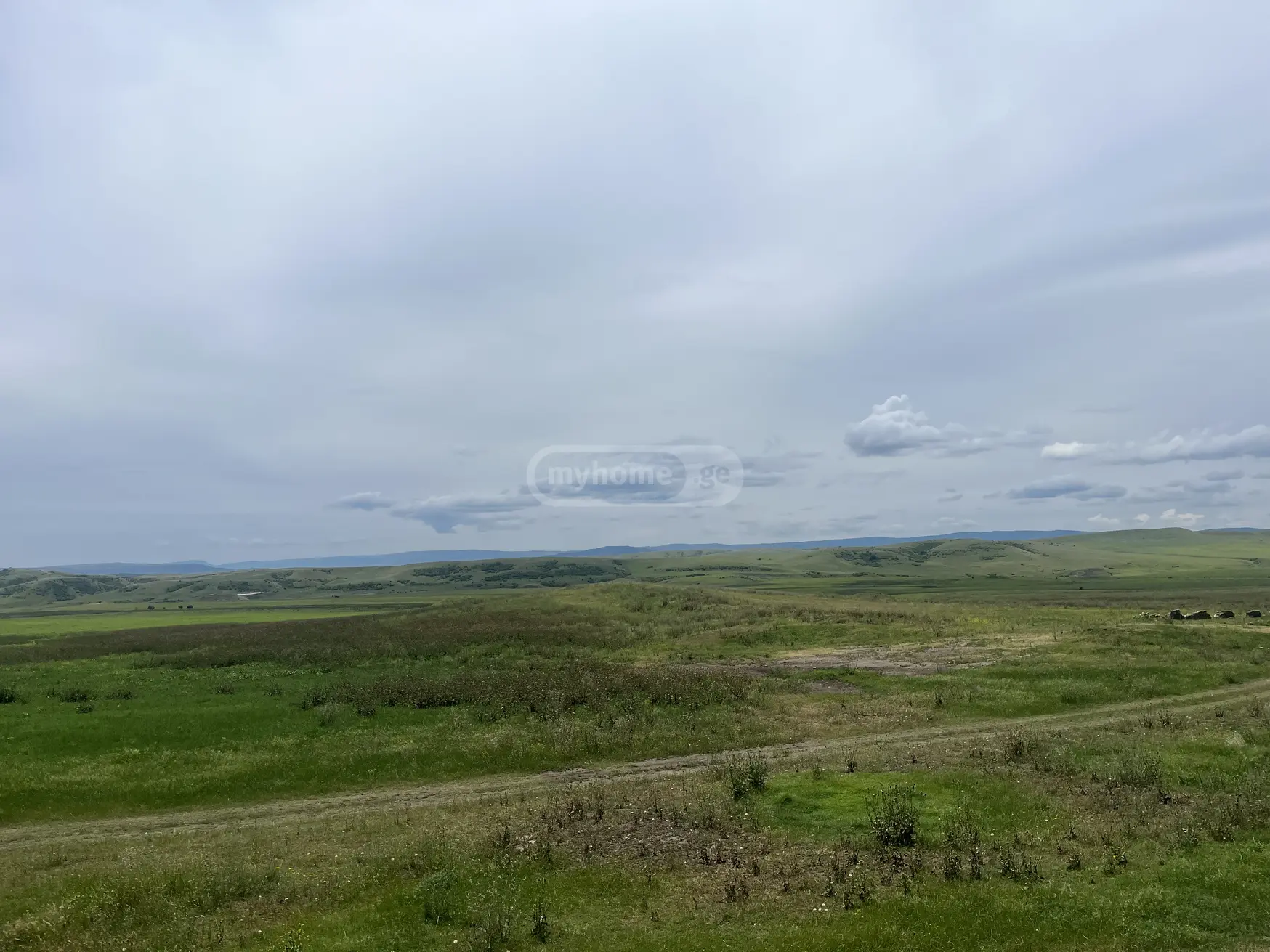 For Sale Sasoplo-Sameurneo Land Plot Sighnaghshi view 3