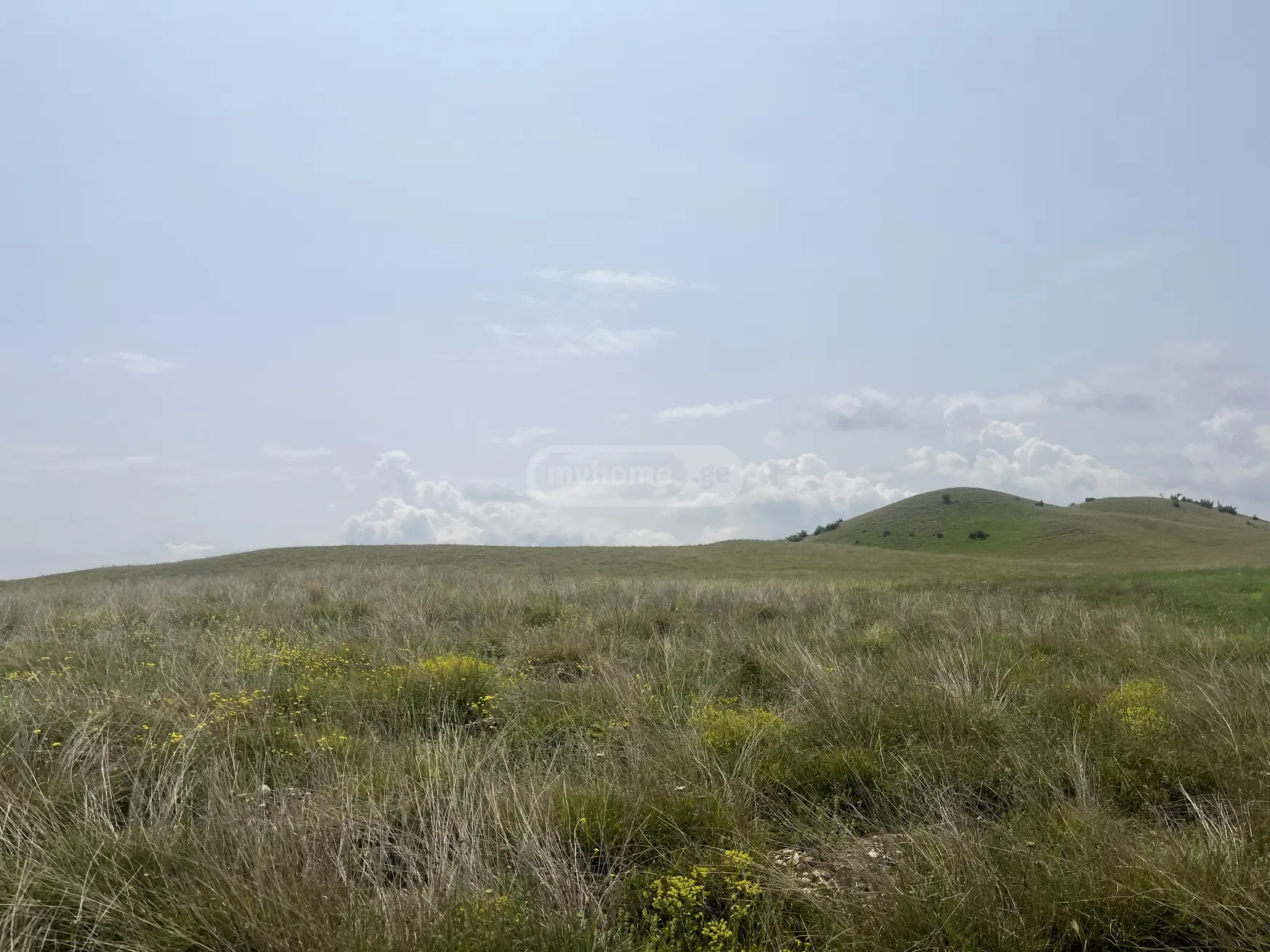 Продажа Земля / участок в Sighnaghshi view 3