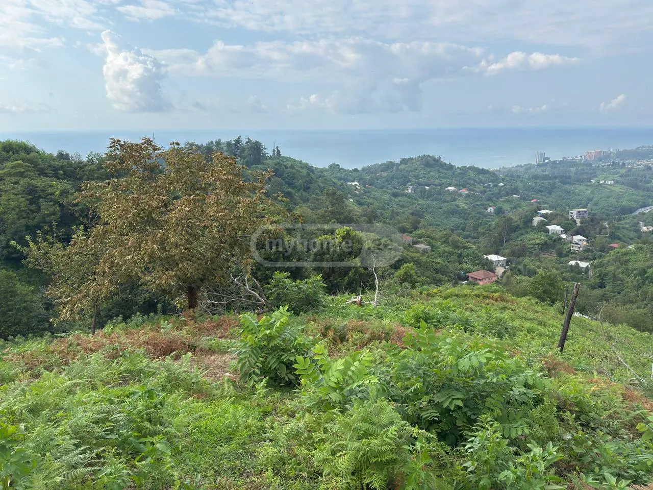 For Sale Ara Sasoplo-Sameurneo Land Plot In Batumi view 1