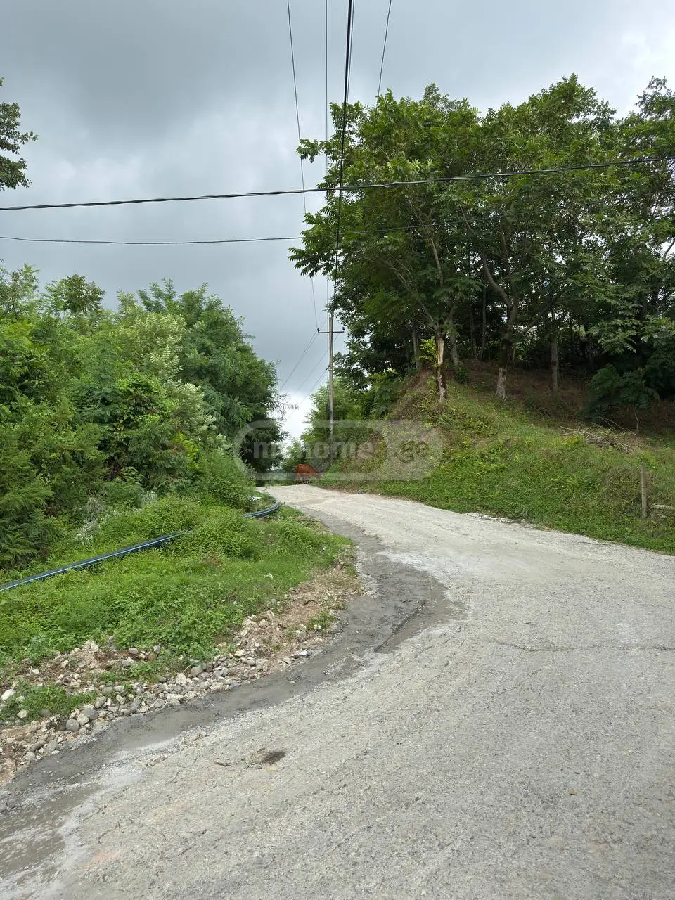 For Sale Ara Sasoplo-Sameurneo Land Plot In Batumi view 3