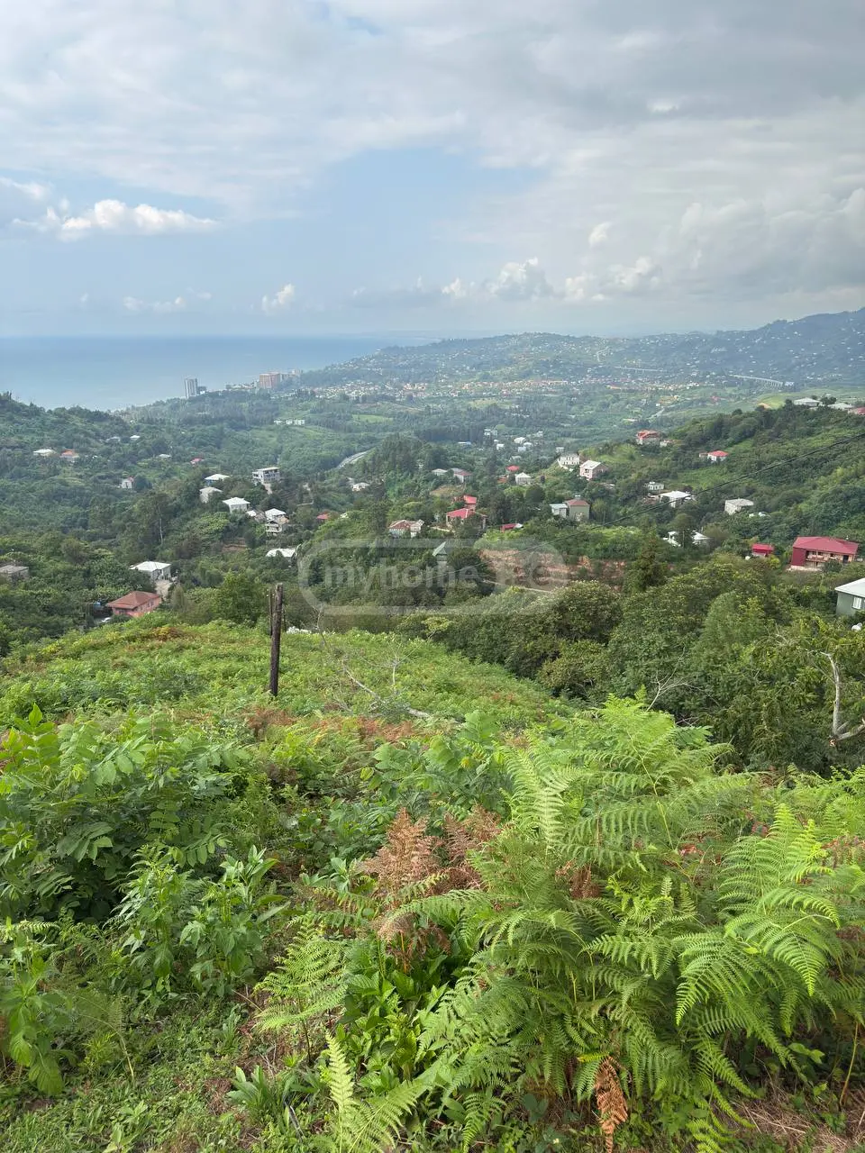 For Sale Ara Sasoplo-Sameurneo Land Plot In Batumi view 2
