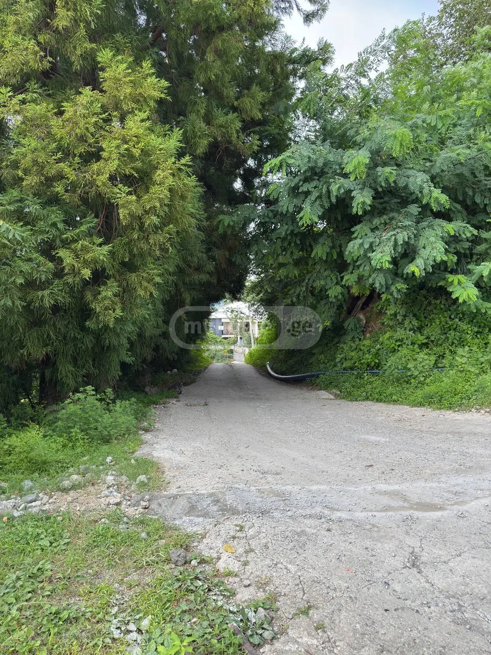 For Sale Ara Sasoplo-Sameurneo Land Plot In Batumi view 8