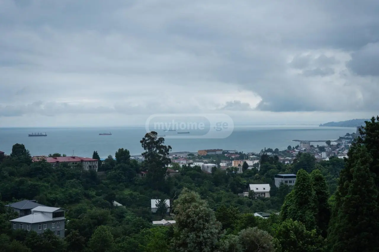 Daily Rent 1 Room Country House Khelvachauris Munitsipalitetshi view 13
