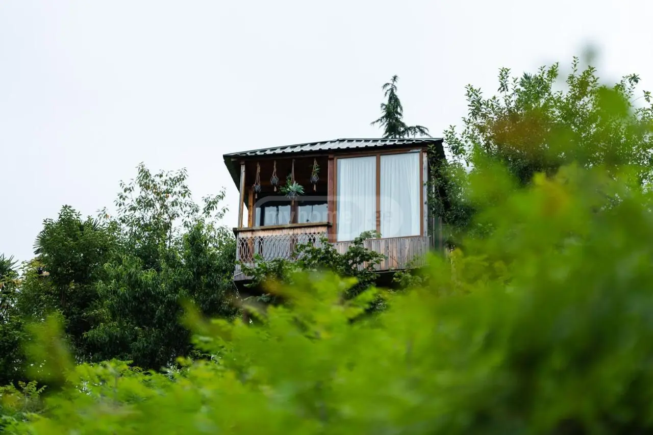 Daily Rent 1 Room Country House Khelvachauris Munitsipalitetshi view 14