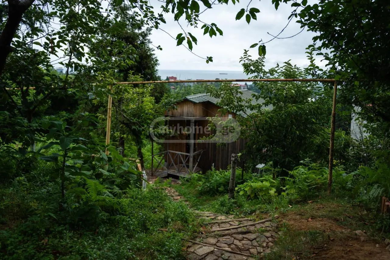 Daily Rent 1 Room Country House Khelvachauris Munitsipalitetshi view 16