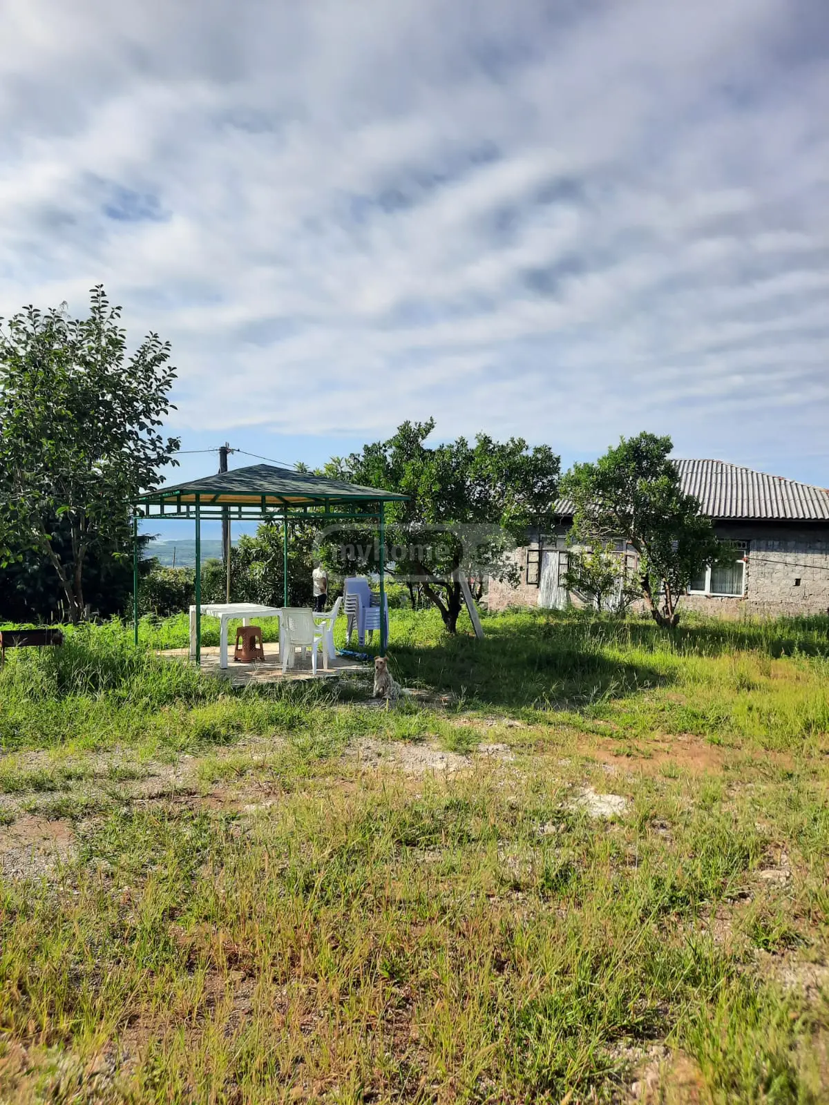For Sale Sainvestitsio Land Plot Khelvachauris Munitsipalitetshi view 7
