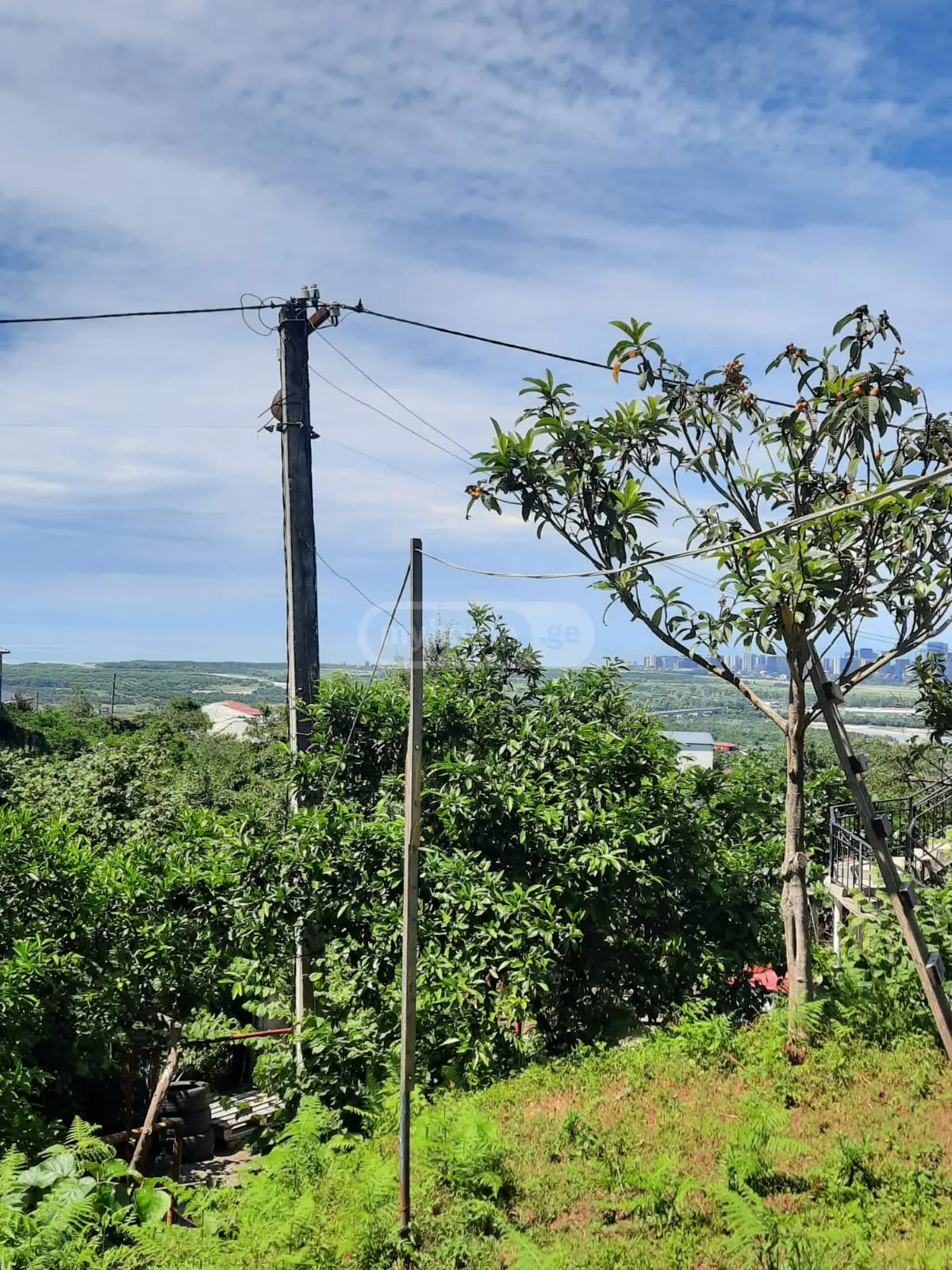 For Sale Sainvestitsio Land Plot Khelvachauris Munitsipalitetshi view 6