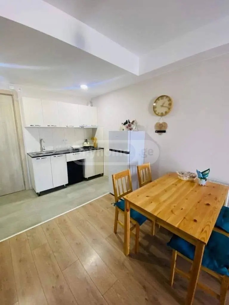 Daily Rent 2 Room Apartment Bakurianshi view 12
