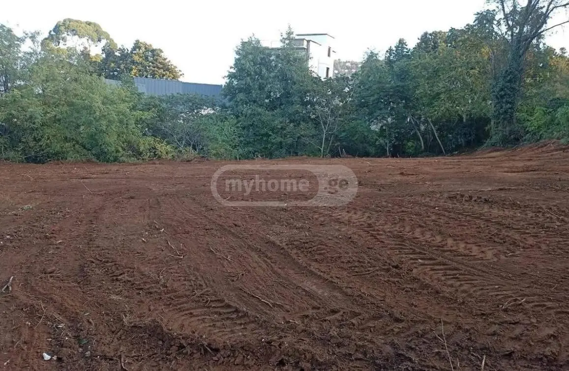 For Sale Sasoplo-Sameurneo Land Plot Khelvachauris Munitsipalitetshi view 3