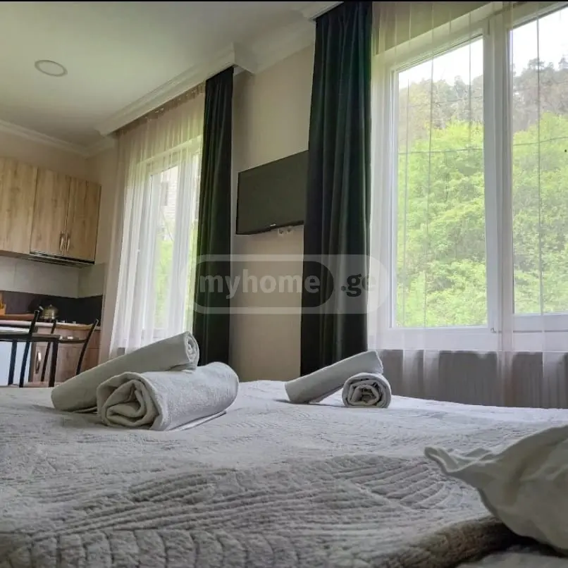 Daily Rent 3 Room Country House Borjomshi view 5