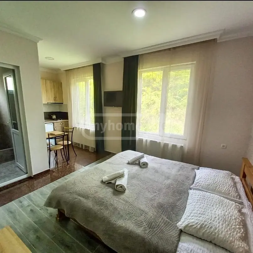 Daily Rent 3 Room Country House Borjomshi view 6