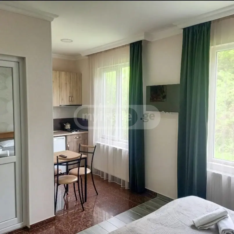 Daily Rent 3 Room Country House Borjomshi view 2