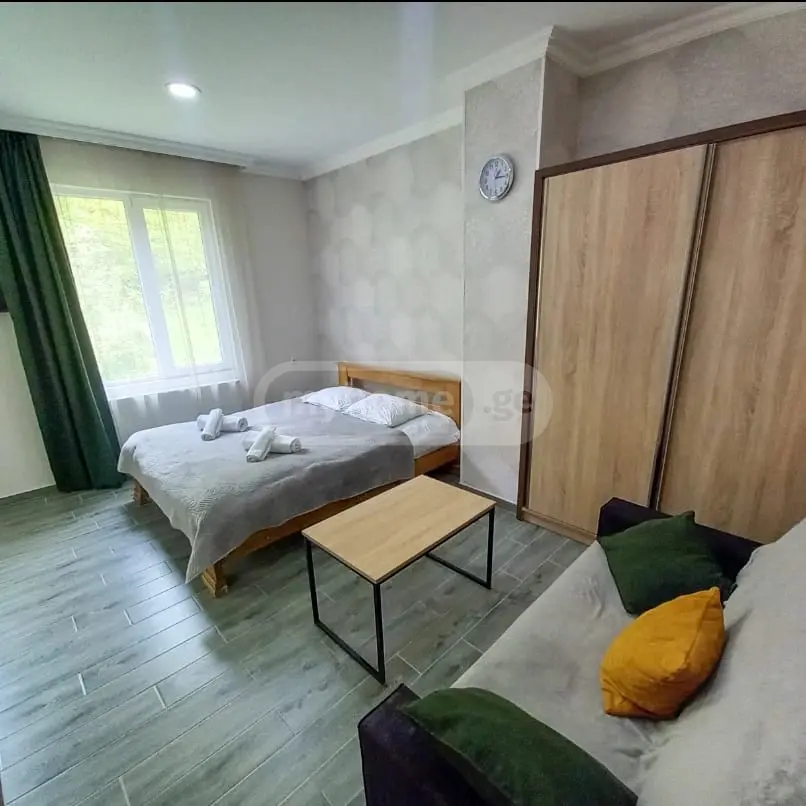 Daily Rent 3 Room Country House Borjomshi view 4