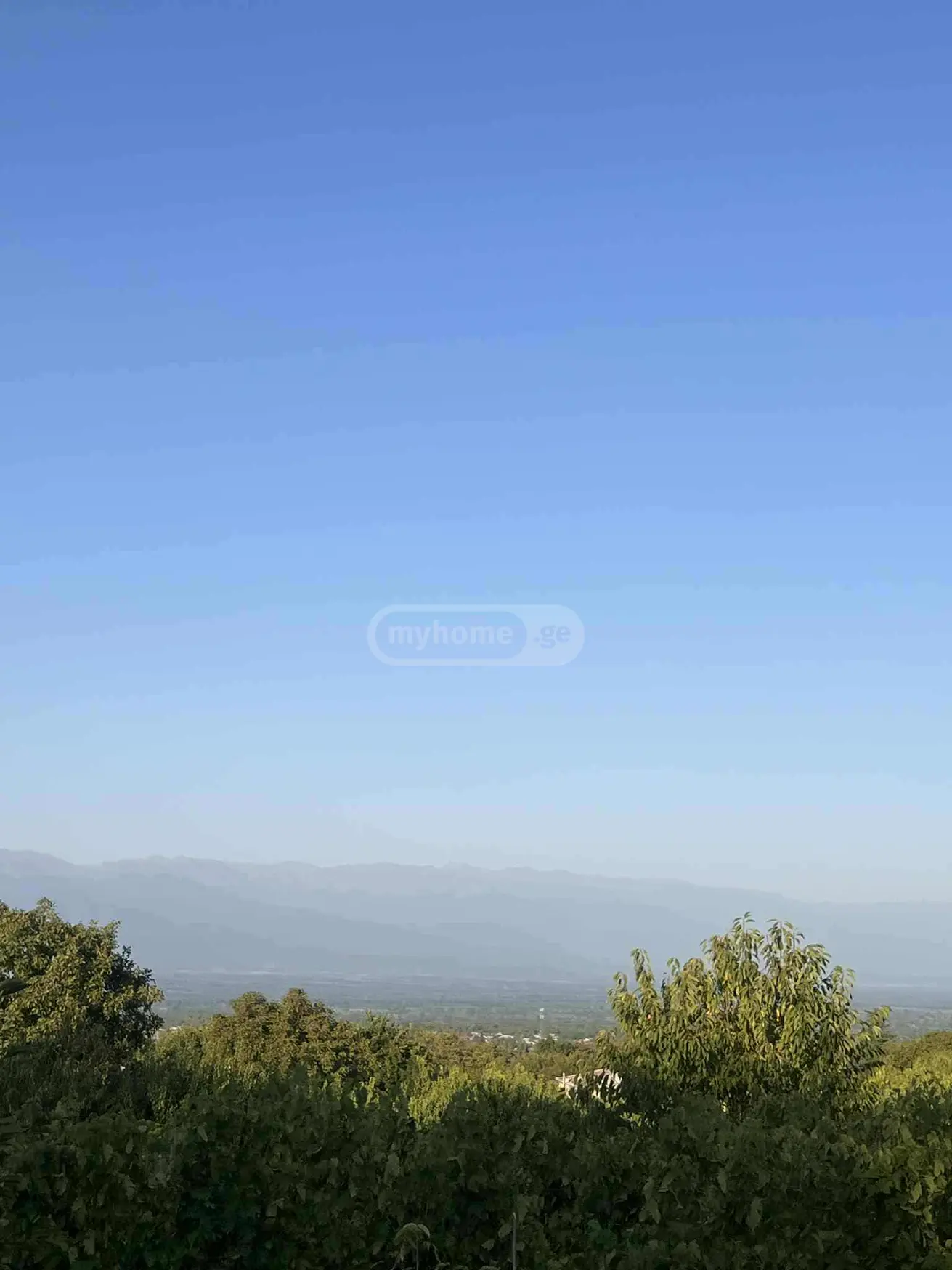 For Sale Sasoplo-Sameurneo Land Plot Gurjaanis Munitsipalitetshi view 2