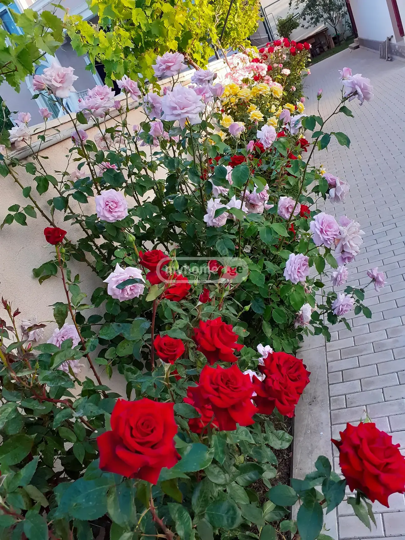 For Sale 6 Room Private House Dighomi 1-9-Shi, 9 of 9
