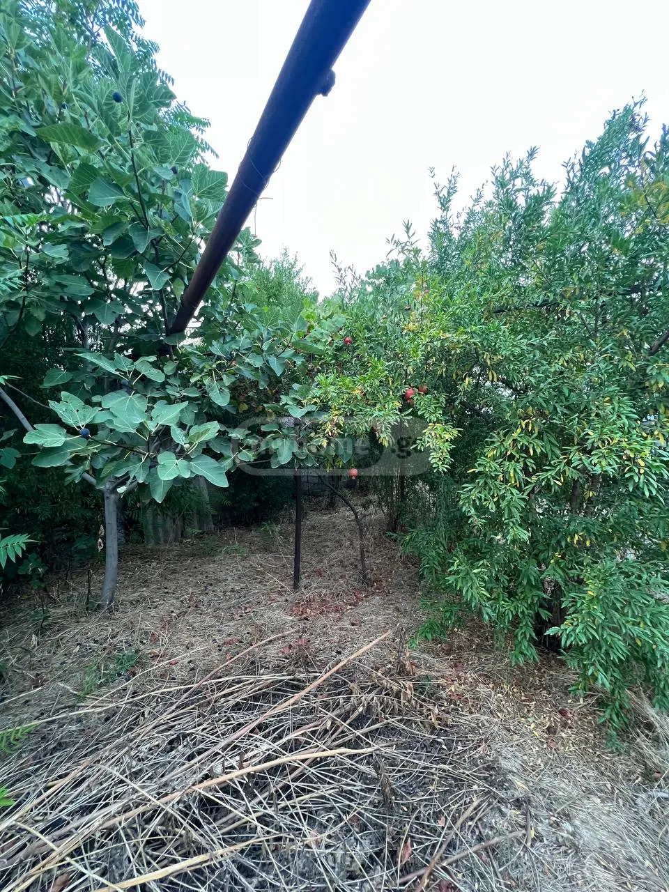 For Sale Ara Sasoplo-Sameurneo Land Plot In Saburtalo, 5 of 10
