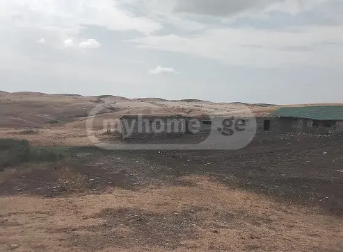 For Sale Sasoplo-Sameurneo Land Plot Sighnaghshi view 6