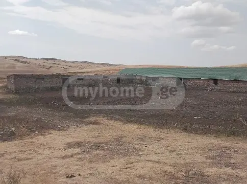 For Sale Sasoplo-Sameurneo Land Plot Sighnaghshi view 8