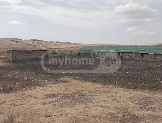 For Sale Sasoplo-Sameurneo Land Plot Sighnaghshi view 7