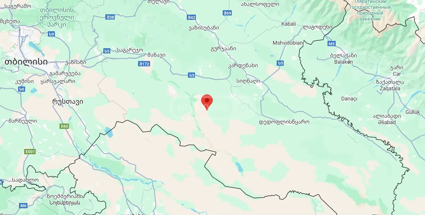 For Sale Sasoplo-Sameurneo Land Plot Sighnaghshi view 10