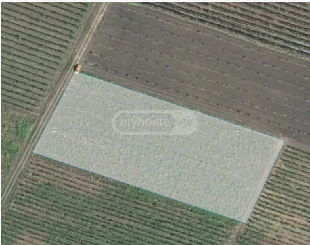 For Sale Sasoplo-Sameurneo Land Plot Gurjaanis Munitsipalitetshi view 1