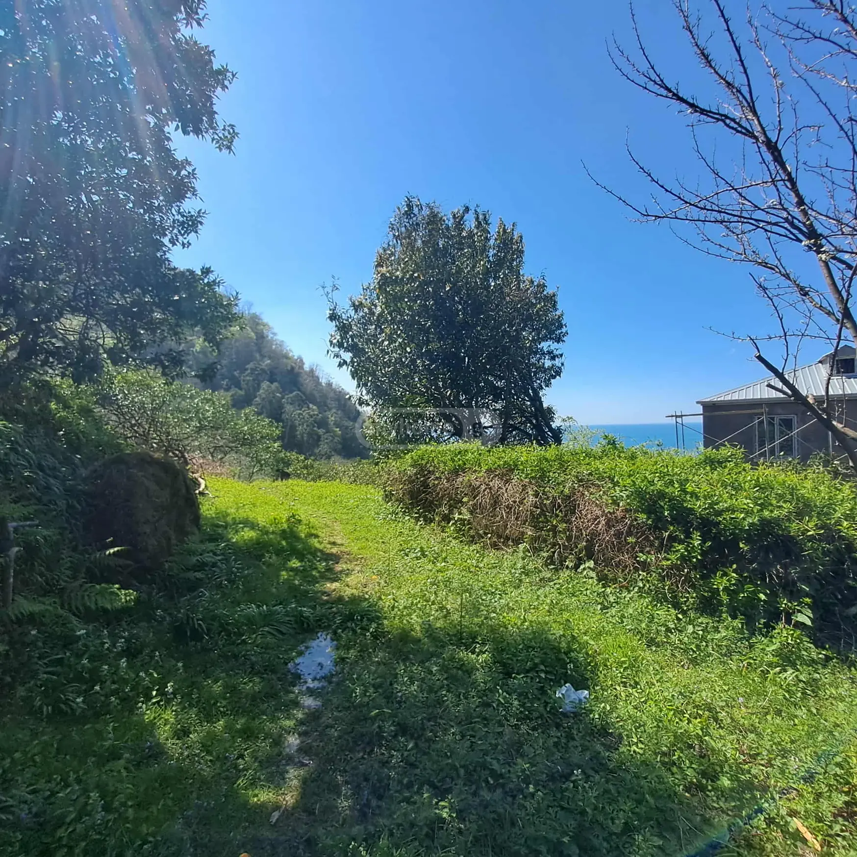 For Sale Sasoplo-Sameurneo Land Plot Khelvachauris Munitsipalitetshi view 4