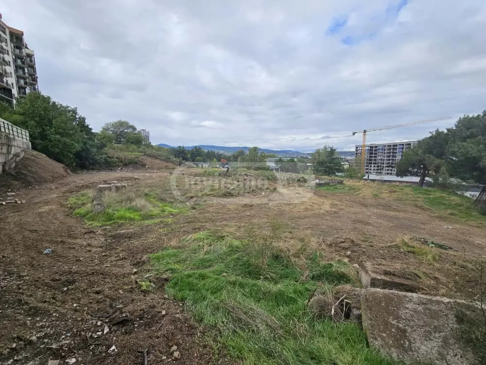 Land For Rent. Vashlijvari view 4