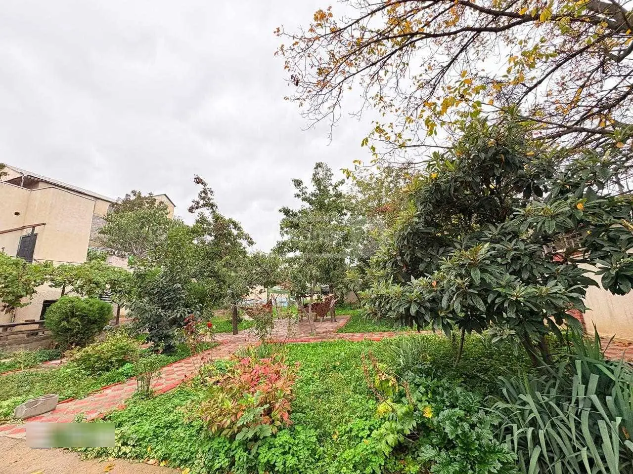 Daily Rent 6 Room Country House Mukhianshi view 11
