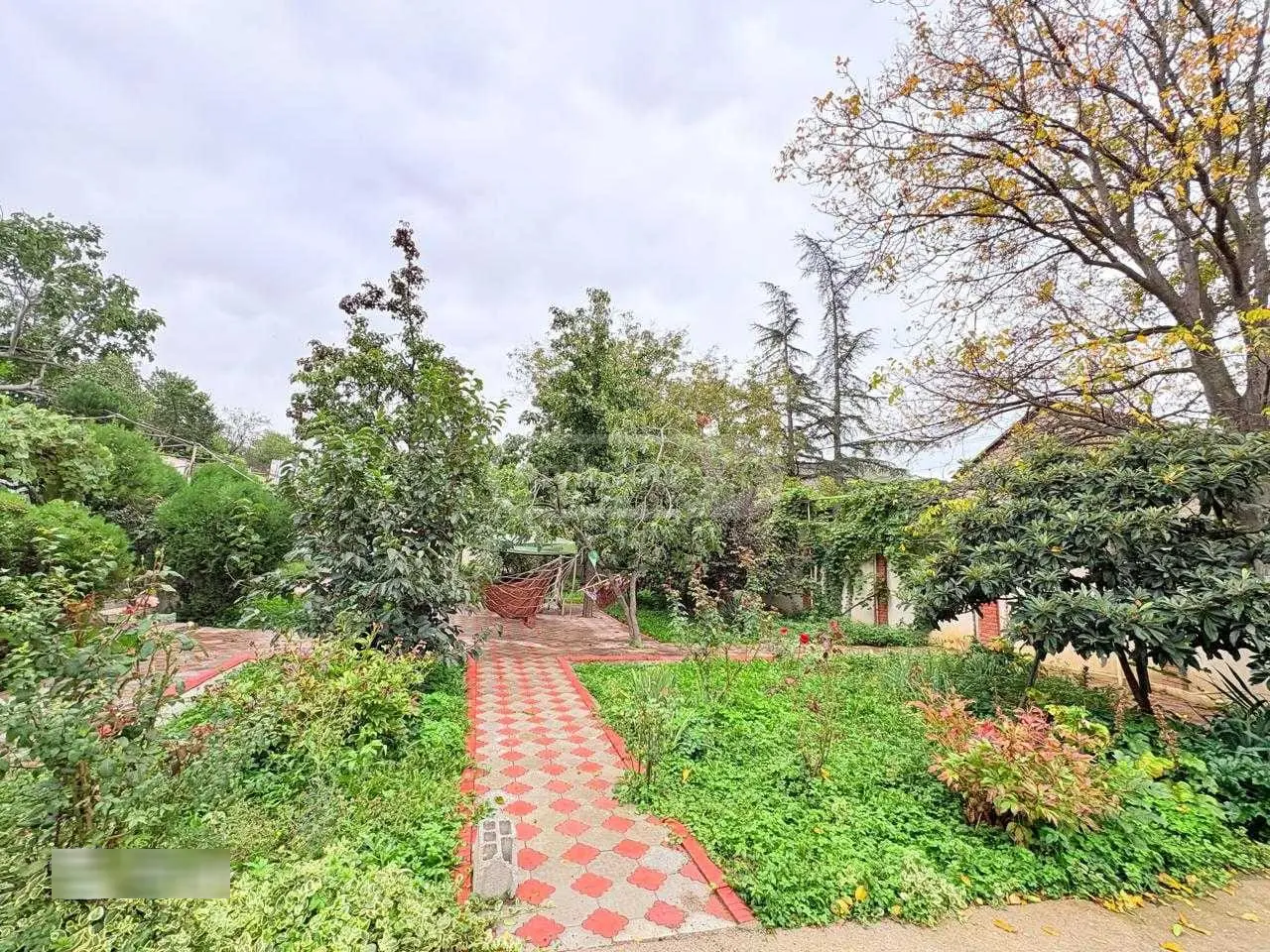 Daily Rent 6 Room Country House Mukhianshi view 12